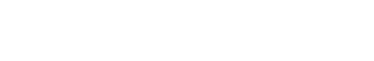 Ingram Micro — RC Workspace client